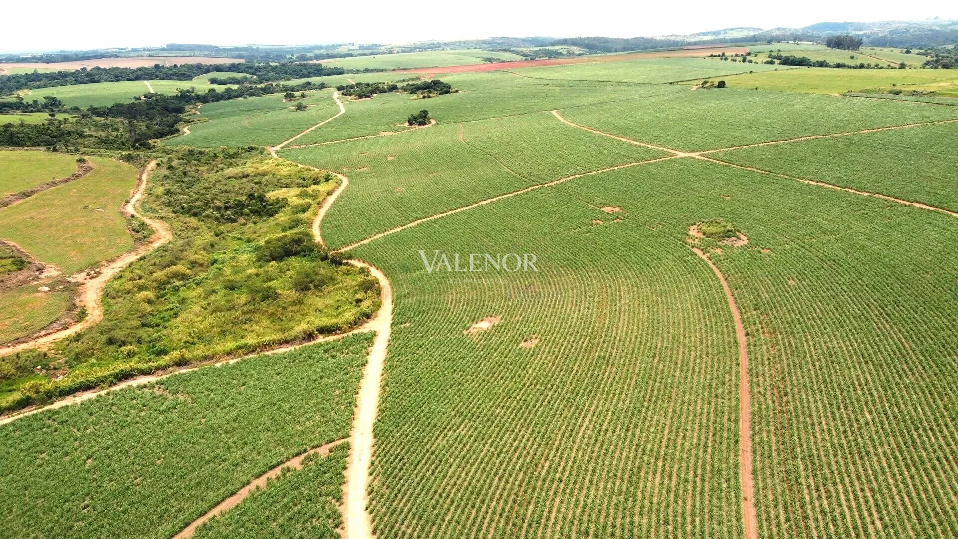 Terreno, 78 hectares - Foto 3