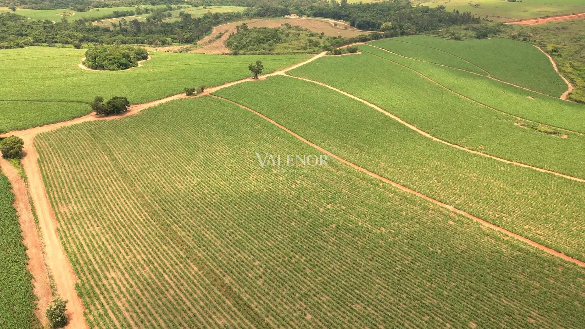 Terreno, 78 hectares - Foto 8