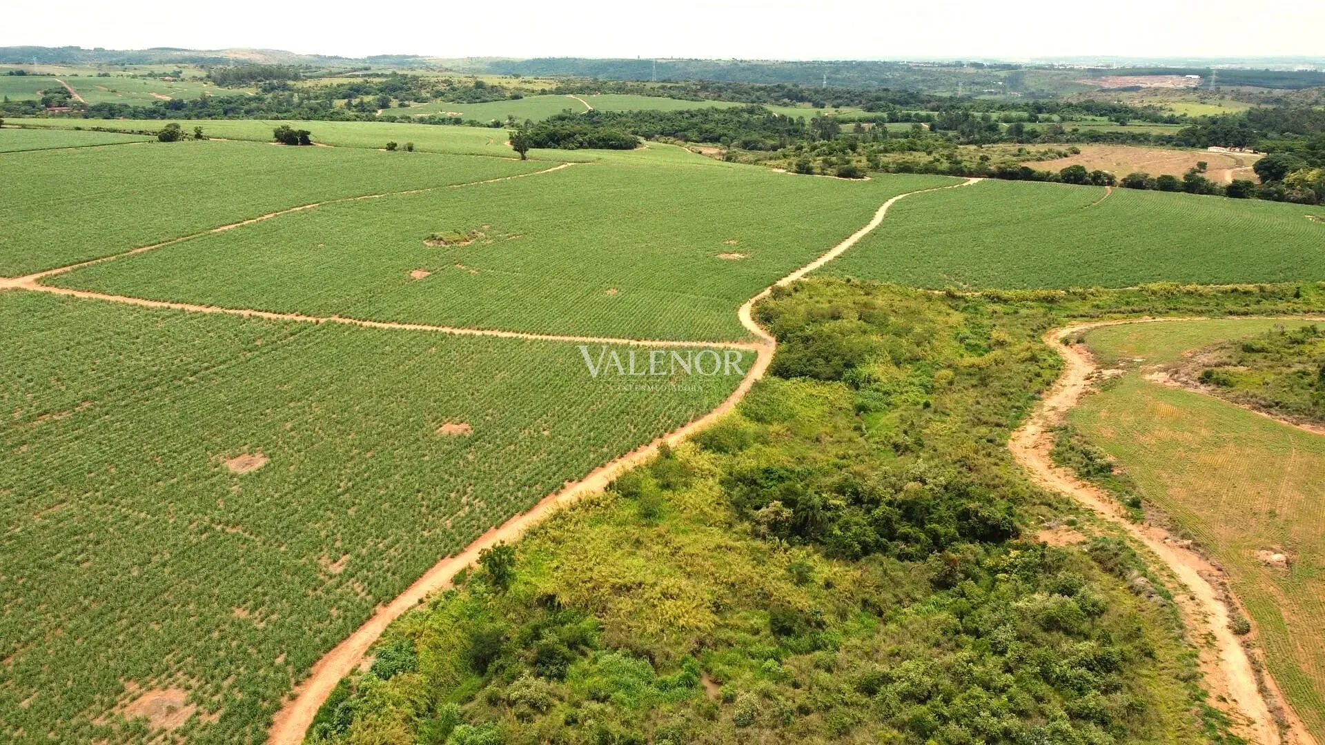 Terreno, 78 hectares - Foto 9