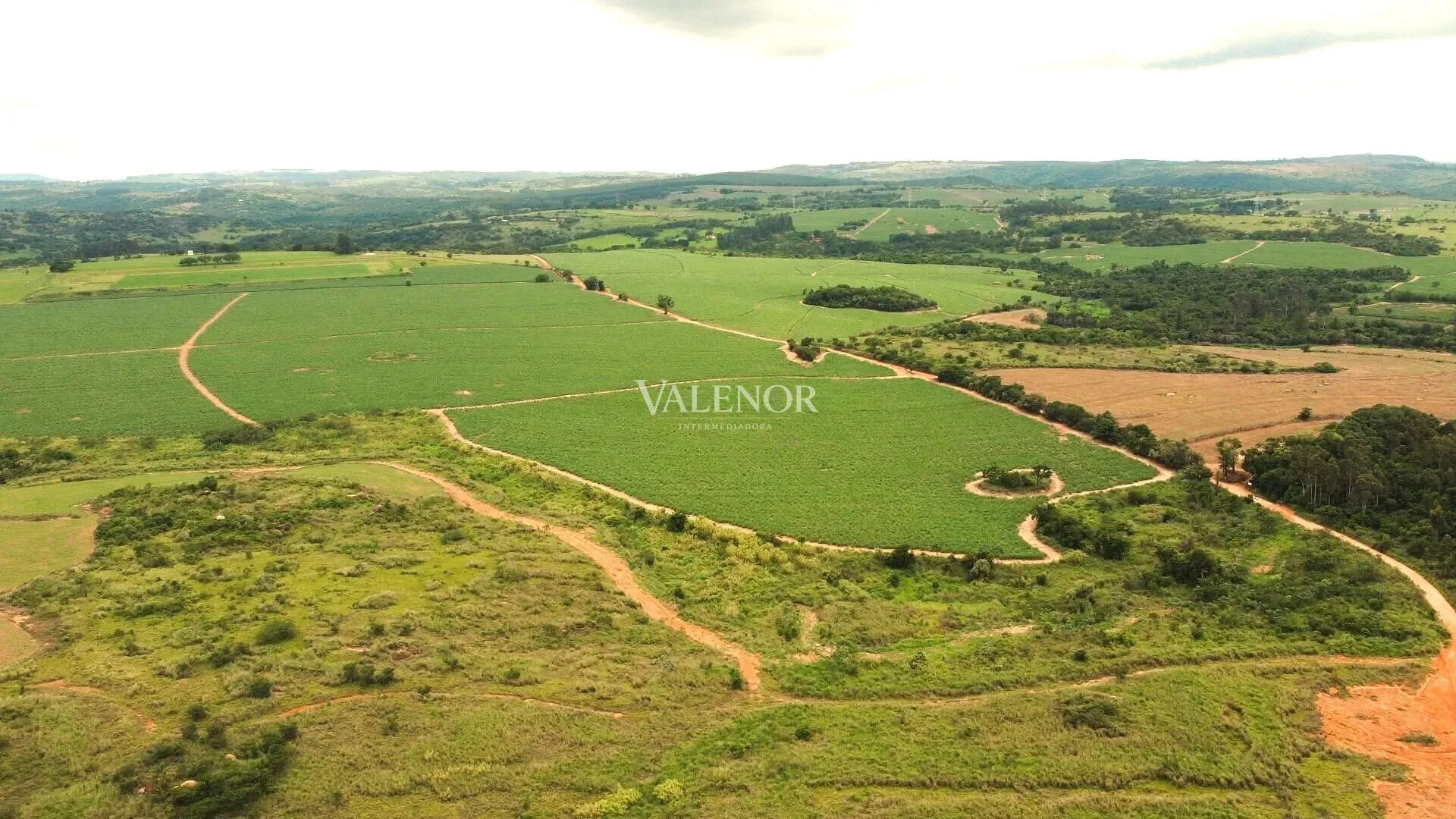 Terreno, 78 hectares - Foto 4