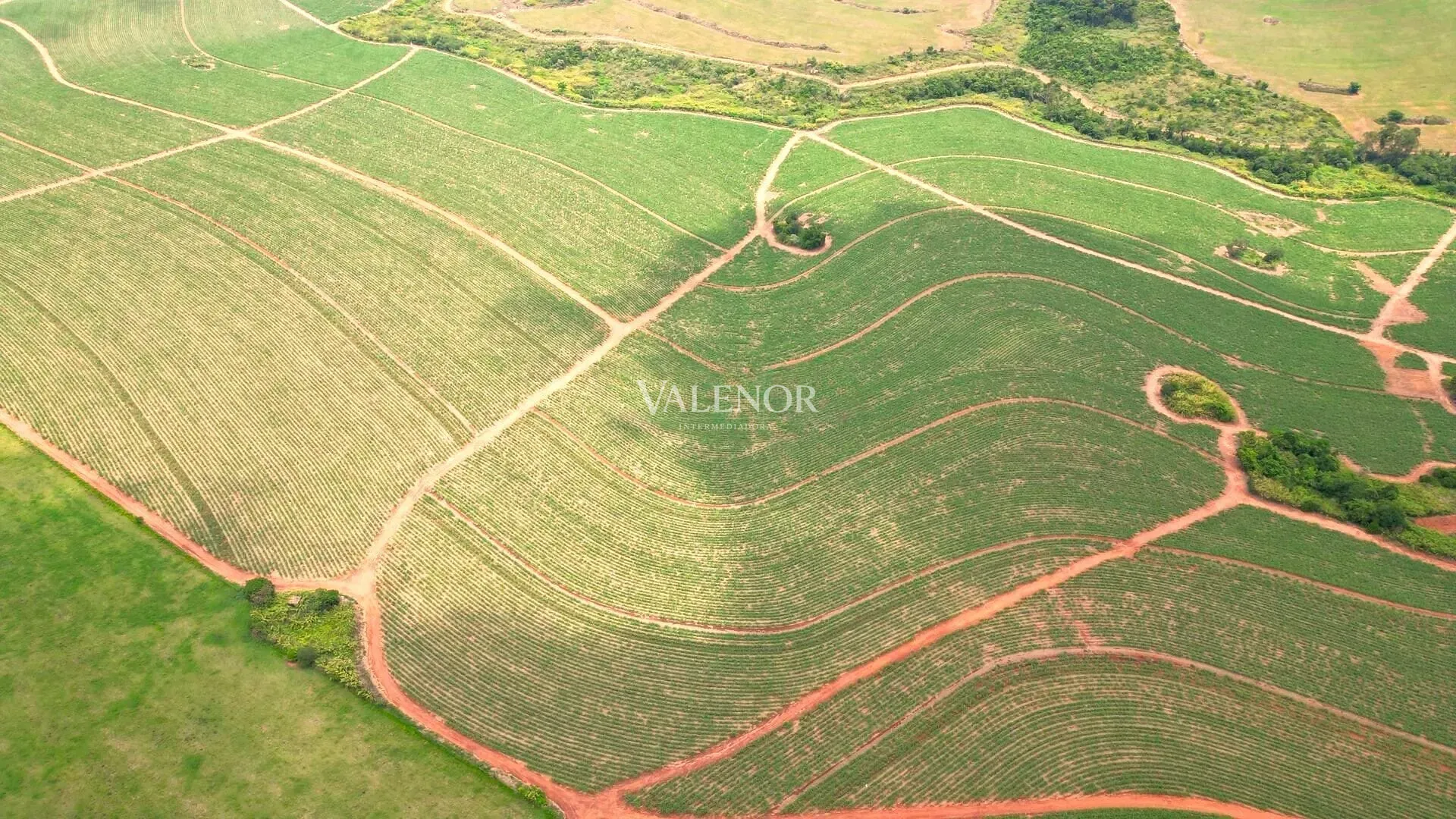 Terreno, 78 hectares - Foto 6