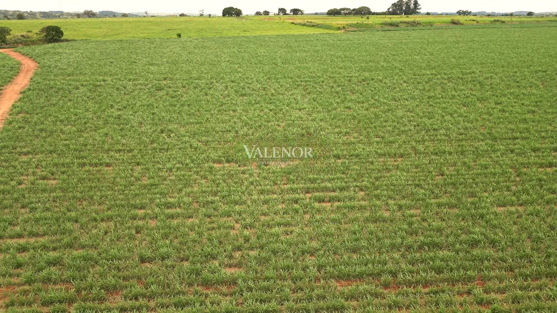 Terreno, 78 hectares - Foto 10