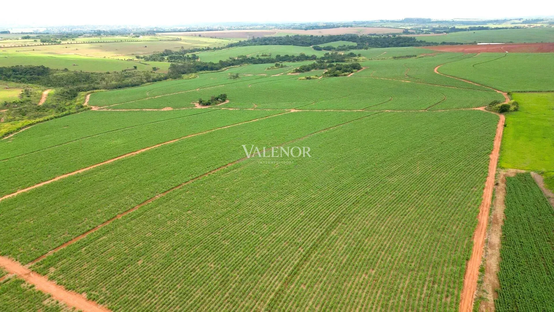 Terreno, 78 hectares - Foto 7
