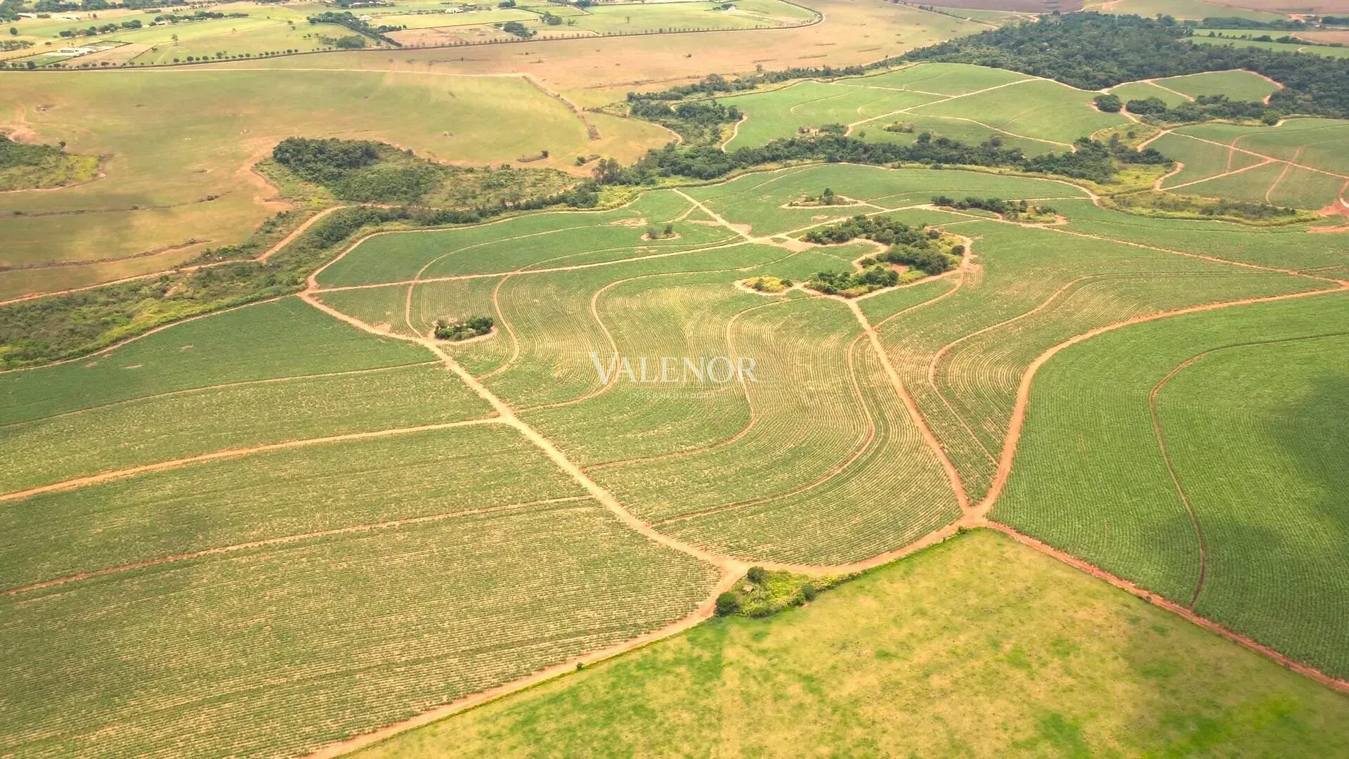 Terreno, 78 hectares - Foto 2