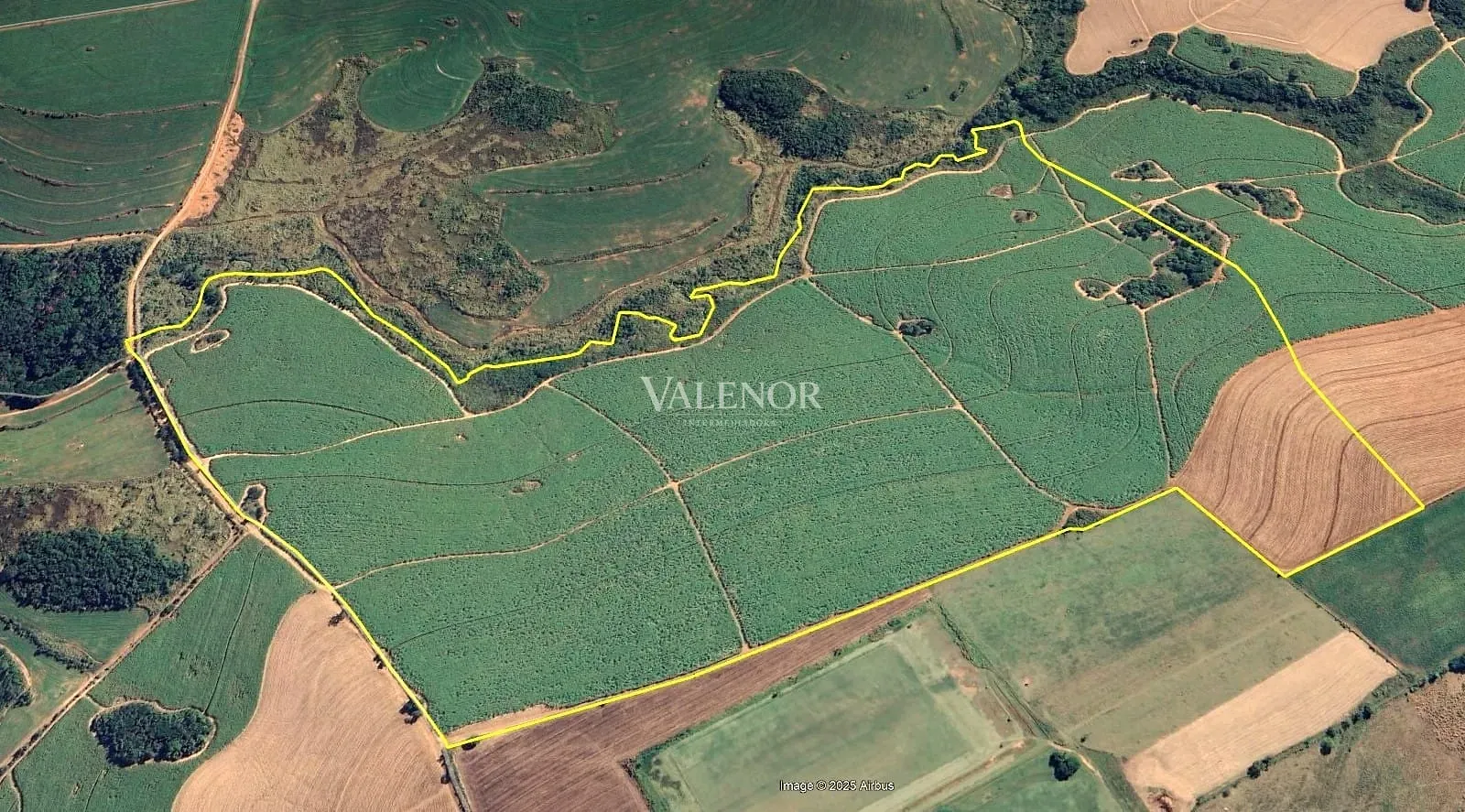 Terreno, 78 hectares - Foto 1