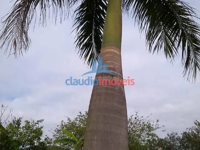 Terreno à venda, no bairro Colônia Santo Antônio em Barra Mansa