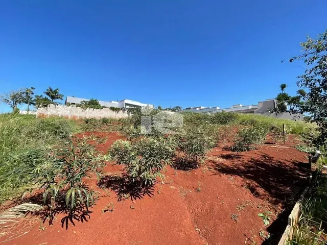 Terreno com 548m², à venda, no bairro JARDIM VALE VERDE em Rolândia