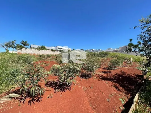 Terreno com 548m², à venda, no bairro JARDIM VALE VERDE em Rolândia