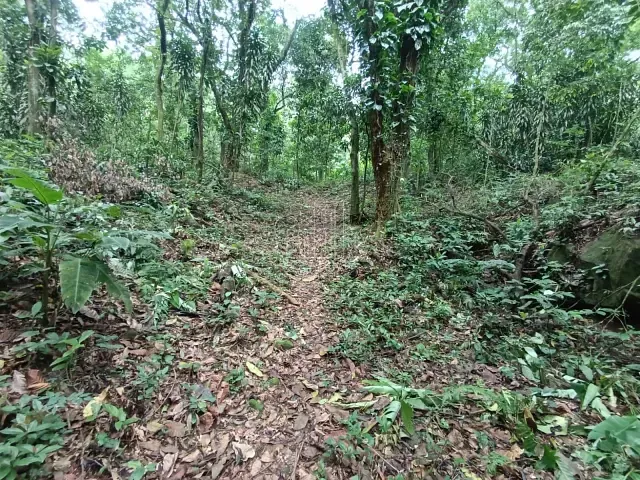 Terreno com 1888m², à venda, no bairro Limoeiro em Guapimirim