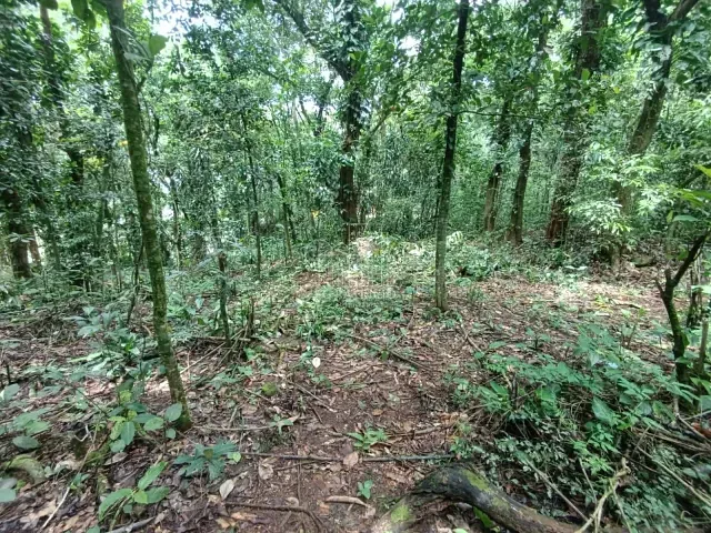Terreno com 1888m², à venda, no bairro Limoeiro em Guapimirim