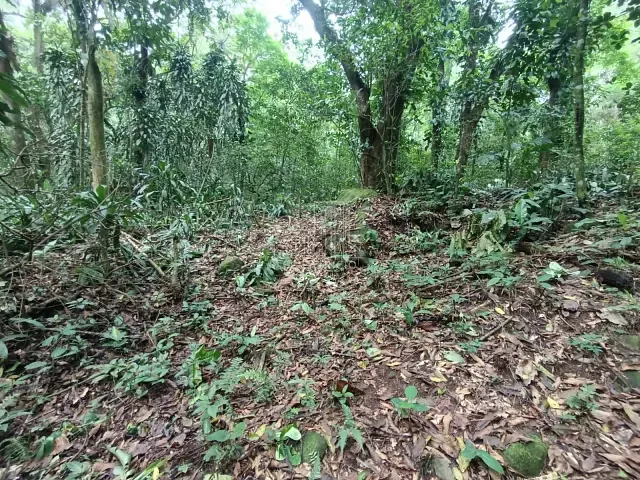 Terreno com 1888m², à venda, no bairro Limoeiro em Guapimirim