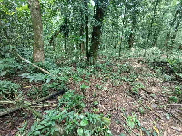 Terreno com 1888m², à venda, no bairro Limoeiro em Guapimirim