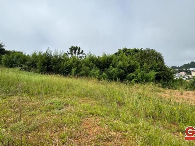 Terreno com 375m², à venda, no bairro Loteamento Carnevalli em Nova Prata
