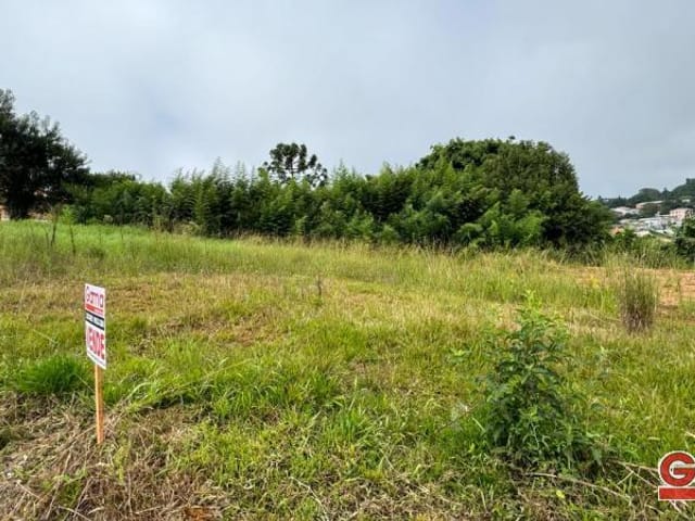 Terreno com 375m², à venda, no bairro Loteamento Carnevalli em Nova Prata