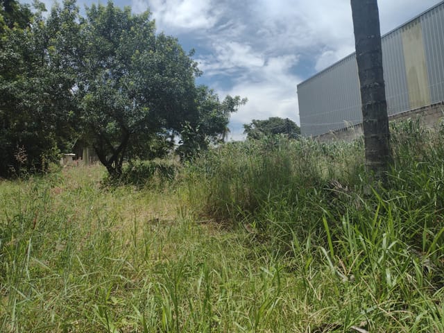 Terreno com 5000m², à venda, no bairro Sagrado Coração de Jesus em Louveira