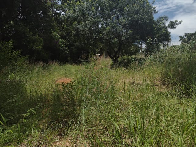 Terreno com 5000m², à venda, no bairro Sagrado Coração de Jesus em Louveira