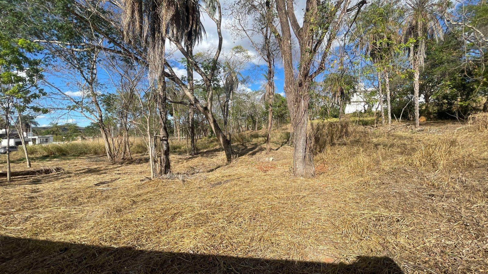 Terreno, 1000 m² - Foto 4