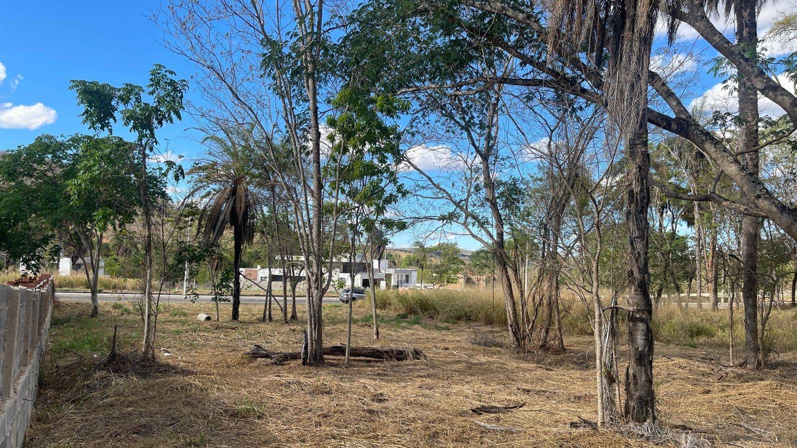 Terreno, 1000 m² - Foto 3