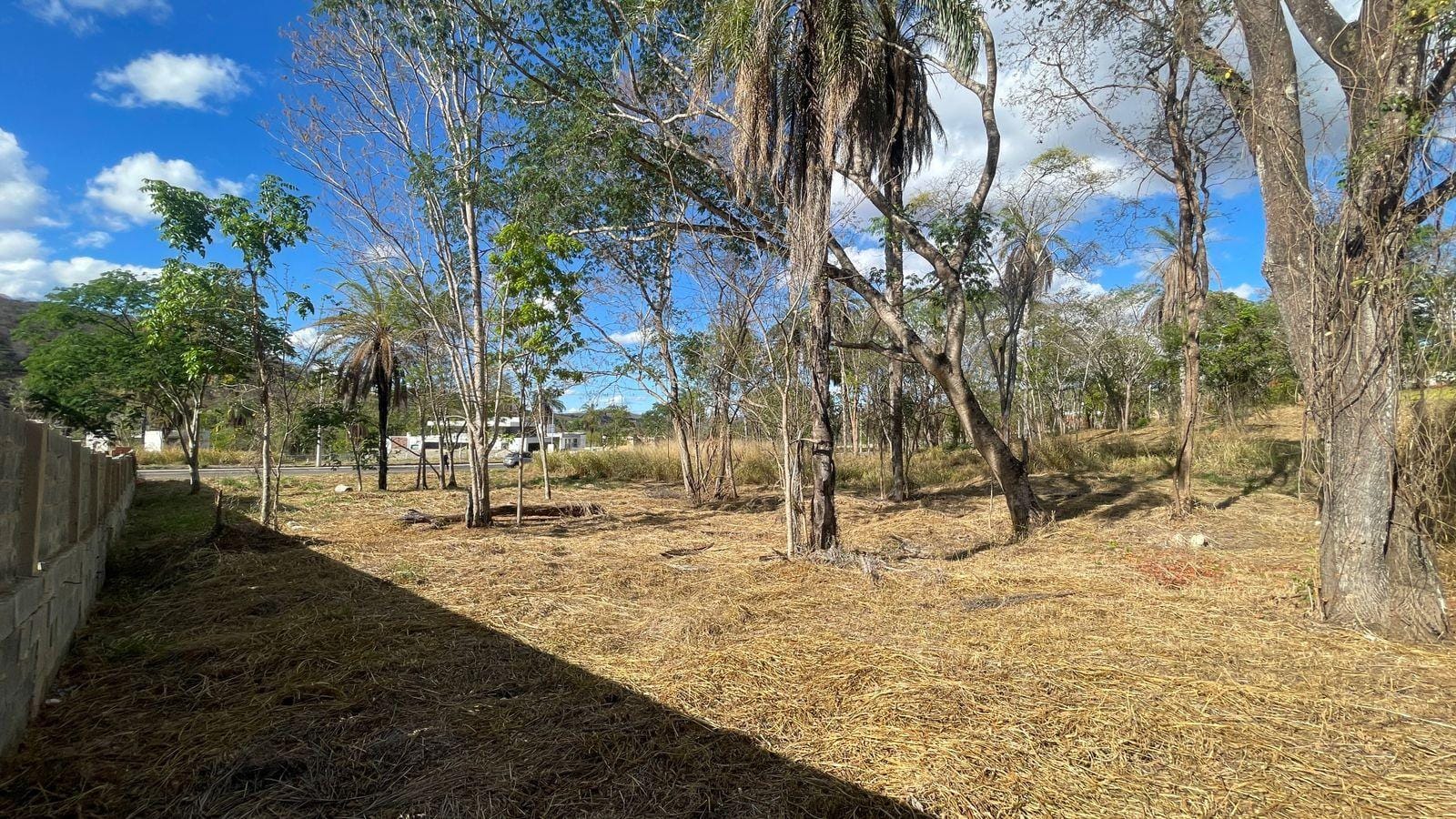 Terreno, 1000 m² - Foto 6