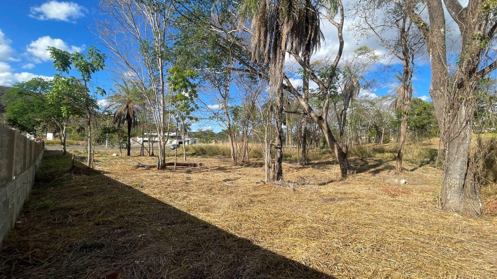 Terreno, 1000 m² - Foto 2