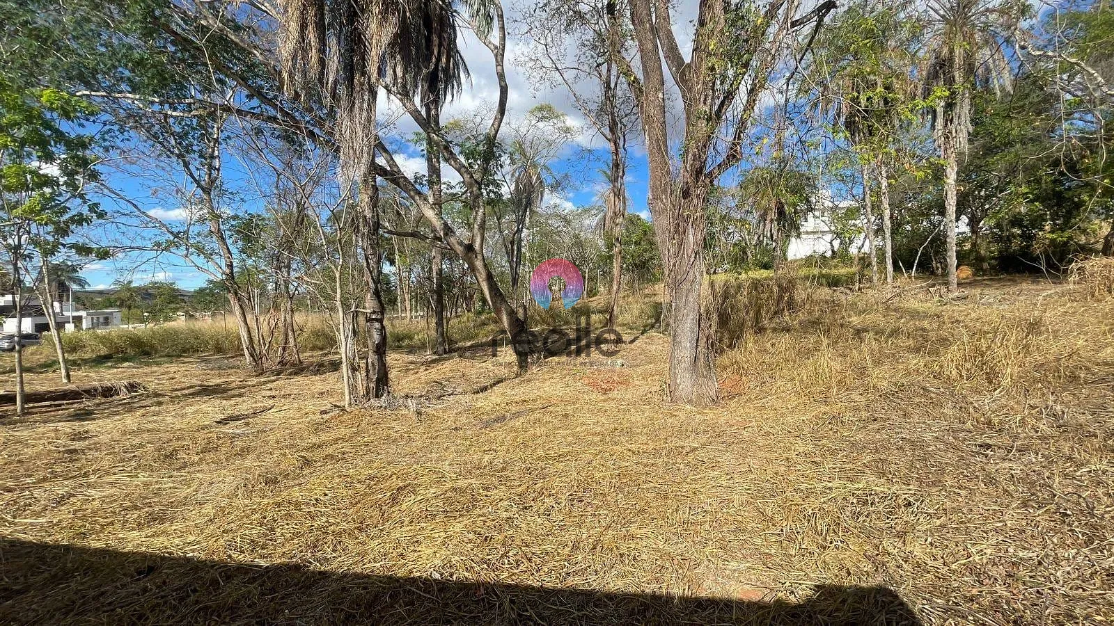 Terreno, 1000 m² - Foto 6