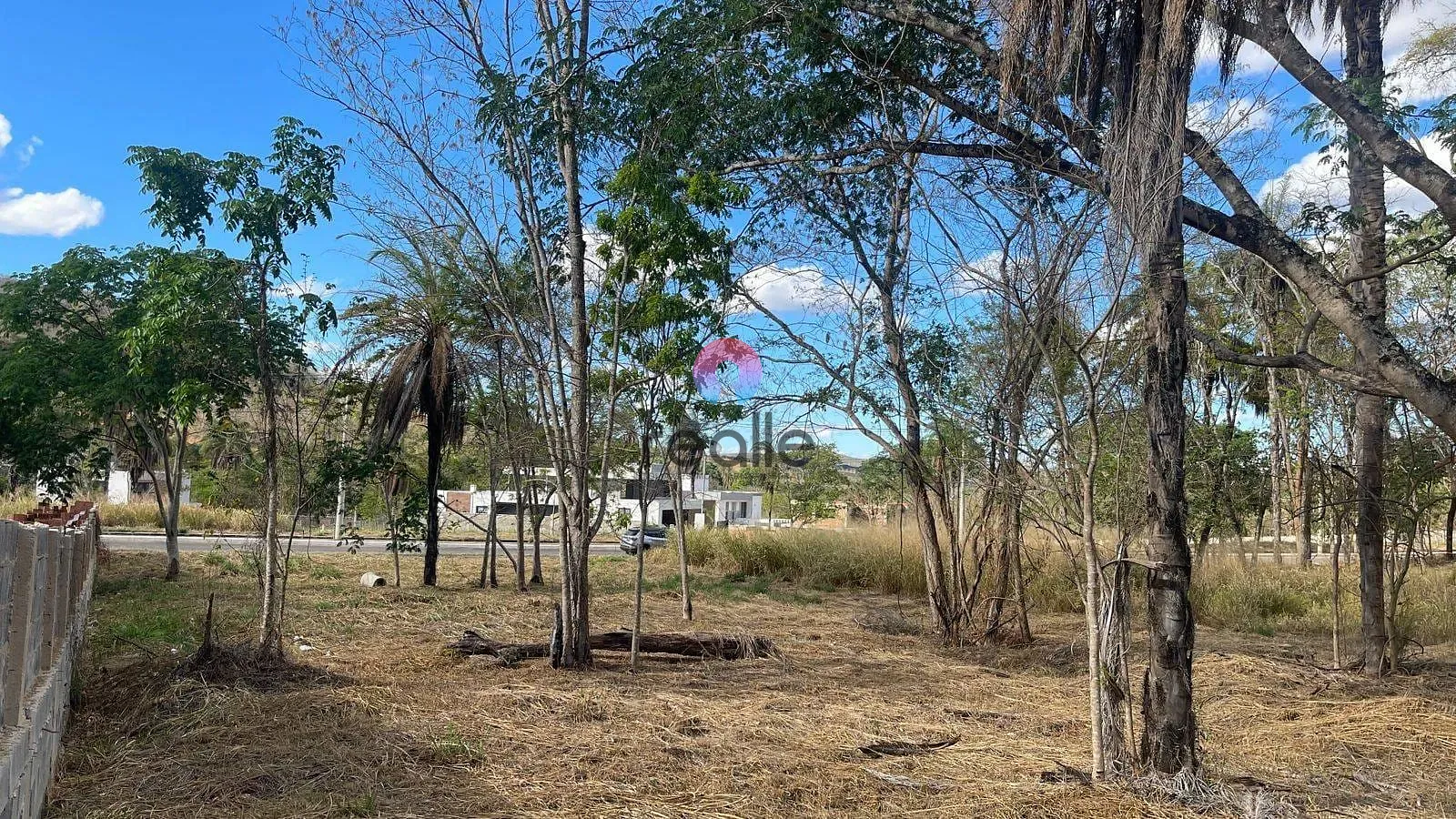 Terreno, 1000 m² - Foto 5
