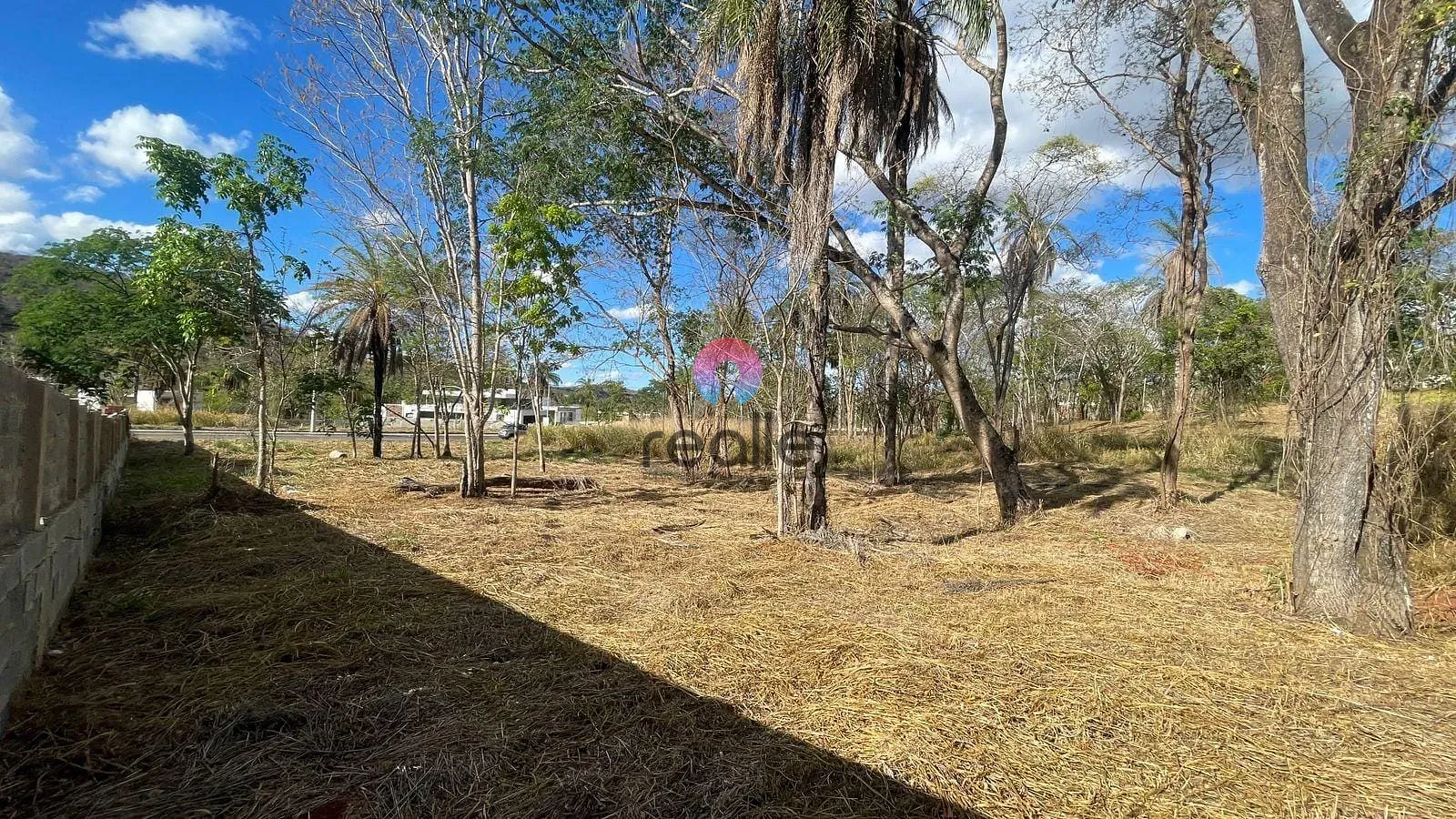 Terreno, 1000 m² - Foto 4