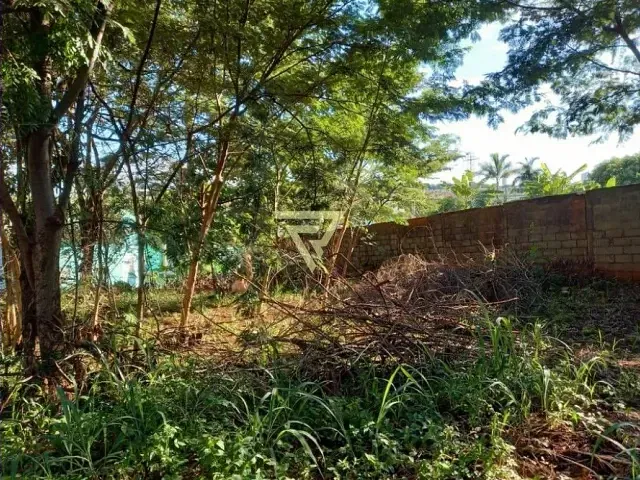 Terreno com 3000m², para alugar, no bairro Ribeirânia em Ribeirão Preto