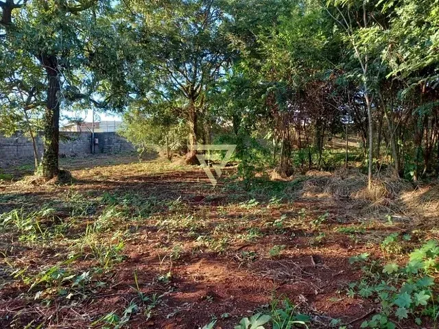 Terreno com 3000m², para alugar, no bairro Ribeirânia em Ribeirão Preto