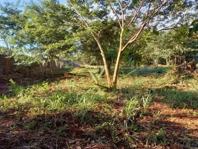 Terreno com 3000m², para alugar, no bairro Ribeirânia em Ribeirão Preto