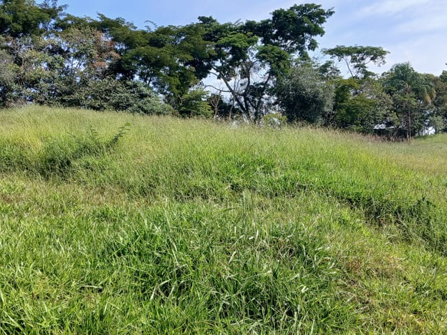 Terreno com 1062m², à venda, no bairro Chácara São Félix em Taubaté