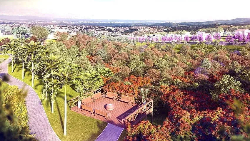Terreno, 250 m² - Foto 7