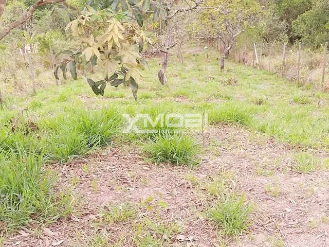 Terreno com 250m², à venda, no bairro dos pereiras em Jarinu