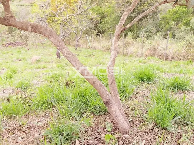 Terreno com 250m², à venda, no bairro dos pereiras em Jarinu