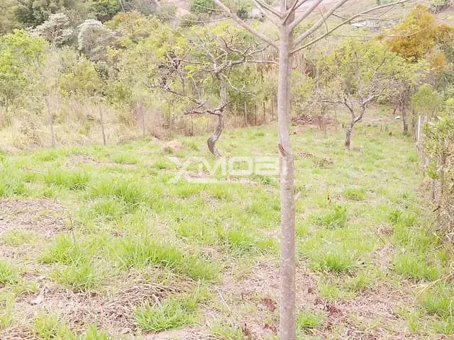 Terreno com 250m², à venda, no bairro dos pereiras em Jarinu