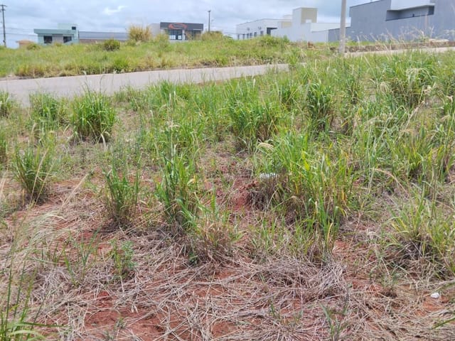 Terreno com 433m², à venda, no bairro Jardim Alvorada em São João da Boa Vista