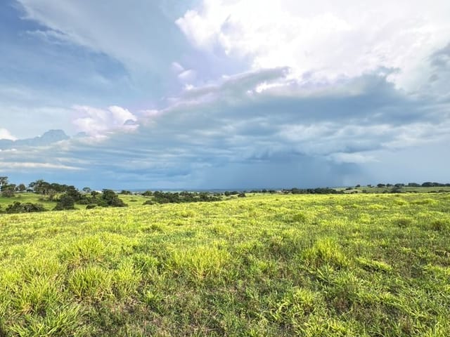 Terreno com 257000m², à venda, no bairro Perímetro Rural em Quadra