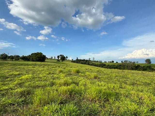 Terreno com 257000m², à venda, no bairro Perímetro Rural em Quadra