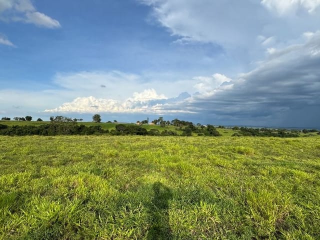 Terreno com 257000m², à venda, no bairro Perímetro Rural em Quadra