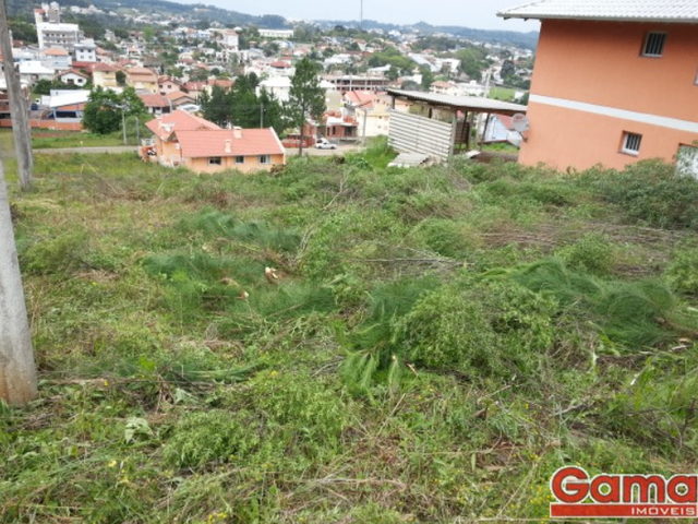 Terreno com 360m², à venda, no bairro Vila Lenzi em Nova Prata