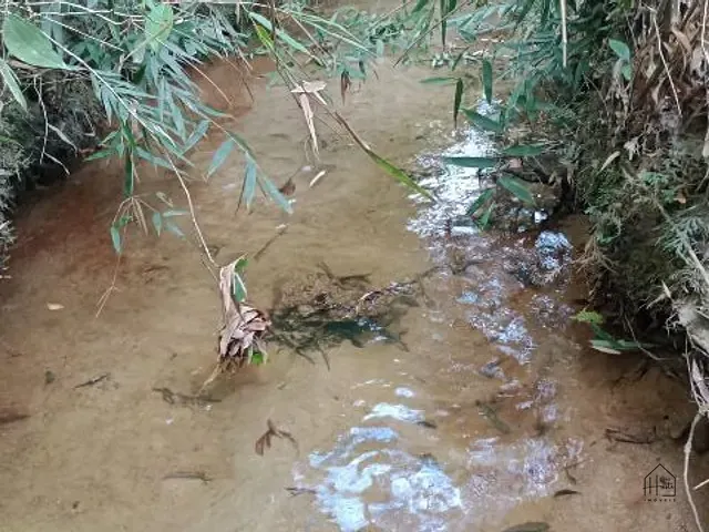 Terreno com 20000m², à venda, no bairro Éder em Itapecerica da Serra