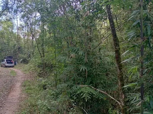 Terreno com 20000m², à venda, no bairro Éder em Itapecerica da Serra