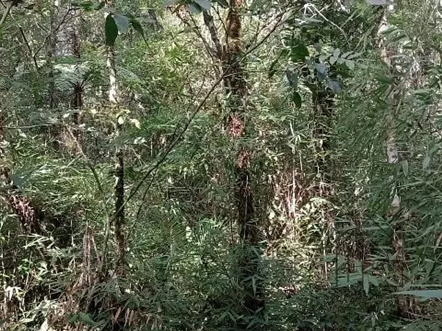 Terreno com 20000m², à venda, no bairro Éder em Itapecerica da Serra