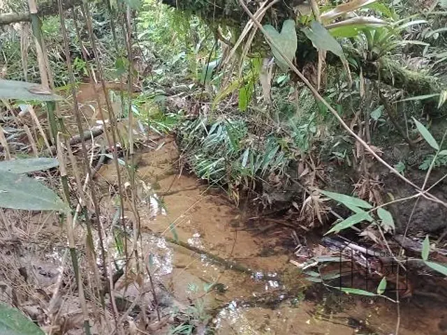 Terreno com 20000m², à venda, no bairro Éder em Itapecerica da Serra