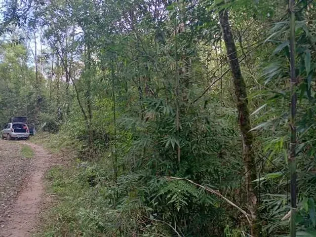 Terreno com 20000m², à venda, no bairro Éder em Itapecerica da Serra