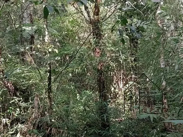 Terreno com 20000m², à venda, no bairro Éder em Itapecerica da Serra