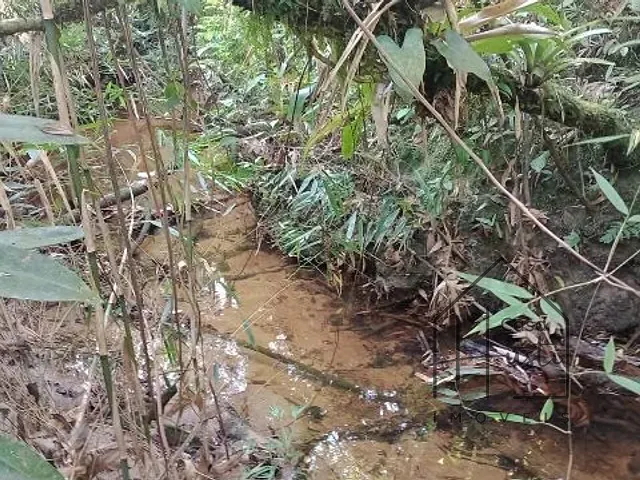 Terreno com 20000m², à venda, no bairro Éder em Itapecerica da Serra
