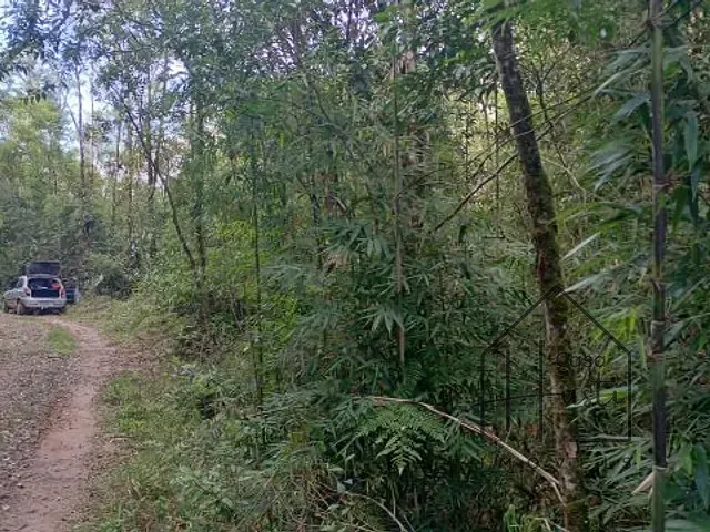 Terreno com 20000m², à venda, no bairro Éder em Itapecerica da Serra