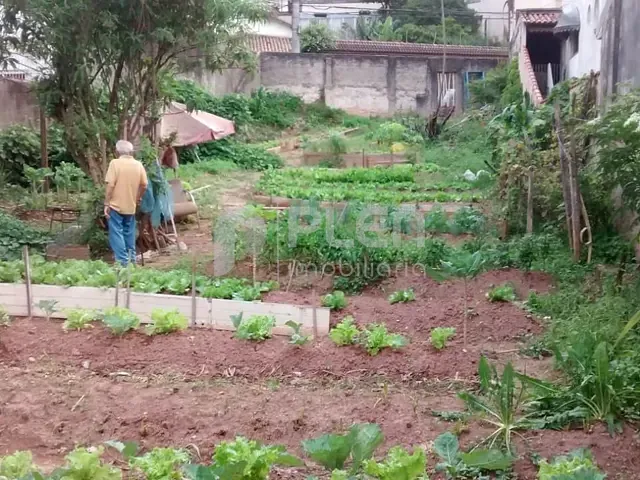 Terreno com 480m², à venda, no bairro Vila Rosa em São Paulo