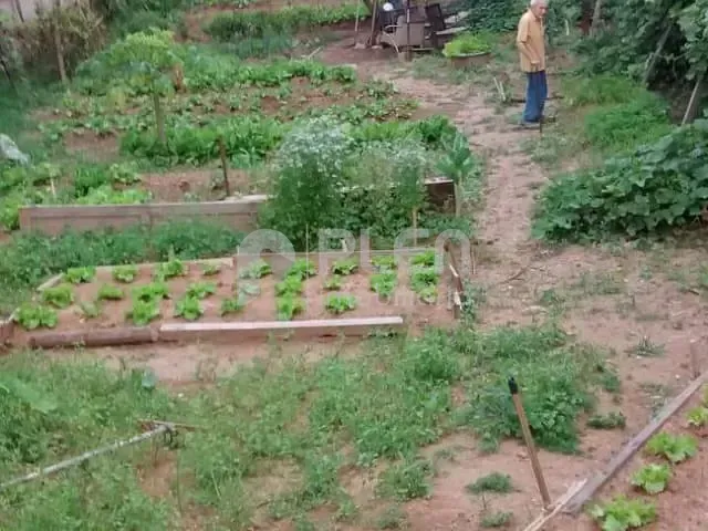Terreno com 480m², à venda, no bairro Vila Rosa em São Paulo
